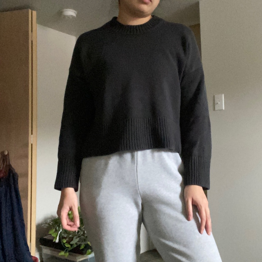 Everlane Heavy Cotton Knit Sweater